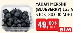YABAN MERSİNİ (BLUEBERRY) 125 G YABAN MERSİNİ (BLUEBERRY) 125 G